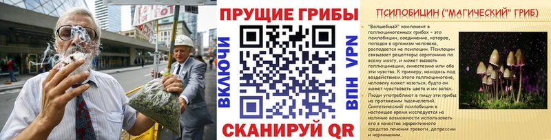 Галлюциногенные грибы Cubensis Волгодонск